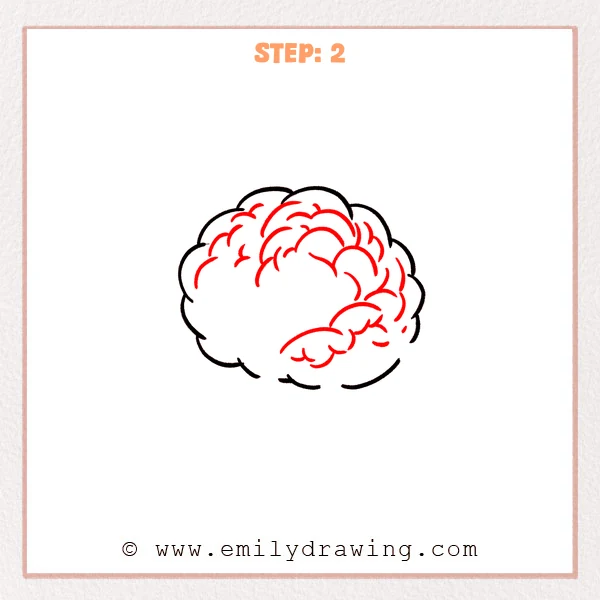how to draw a cartoon brain - A cartoon brain outline with added curved fold lines inside, showing brain texture and depth.